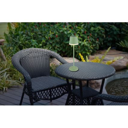 Globo - Lámpara solar LED LED/0,06W/3V 3000K IP44 1200 mAh verde