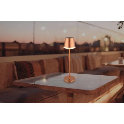 Globo - Lámpara solar LED LED/0,6W/3V 3000K IP44 1200 mAh cobre
