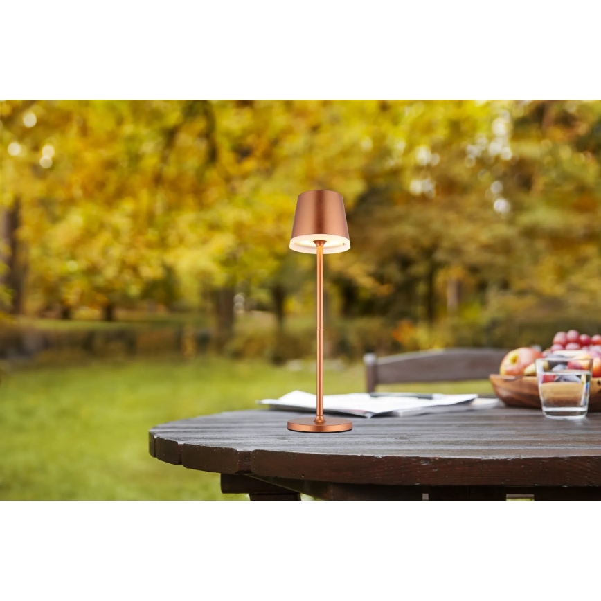 Globo - Lámpara solar LED LED/0,6W/3V 3000K IP44 1200 mAh cobre