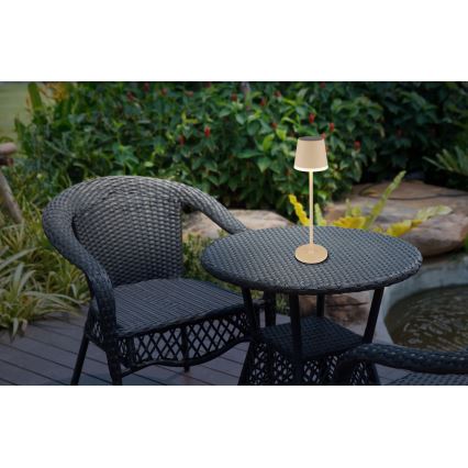 Globo - Lámpara solar LED LED/0,6W/3V 3000K IP44 1200 mAh beige