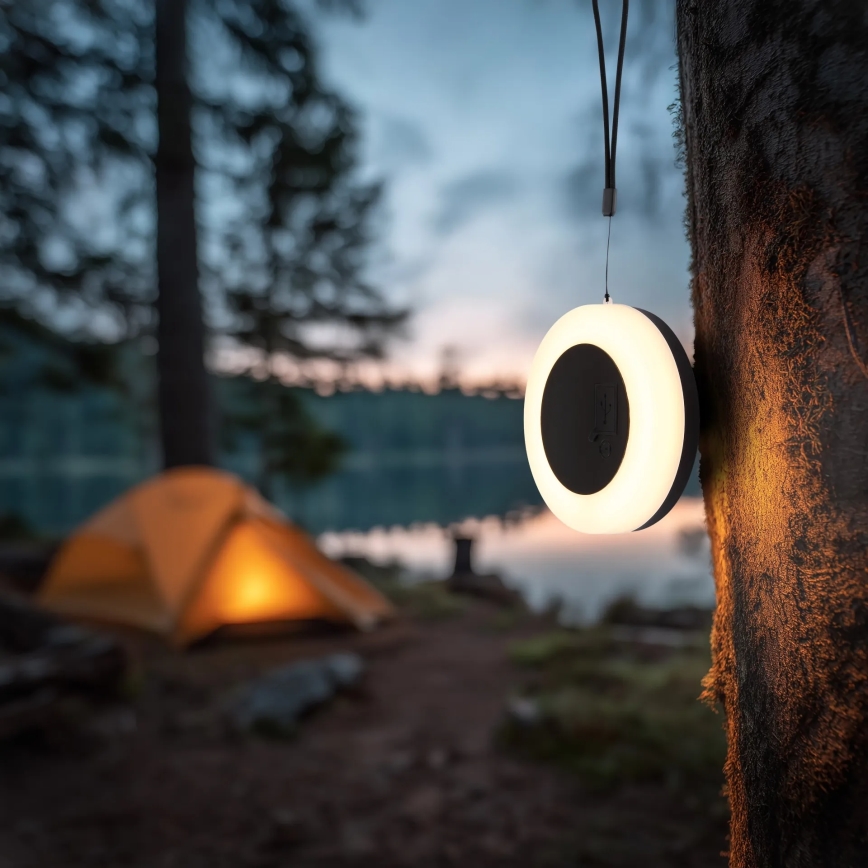 Globo - Lámpara solar portátil LED/3W/3,7V IP54 2200 mAh