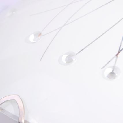 Globo 40402-2 - Plafón CALIMERO I 2xE27/60W/230V