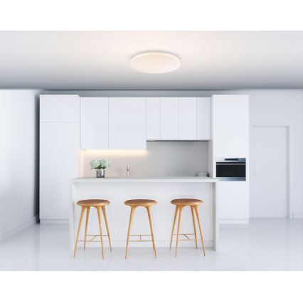 Globo - LED Lámpara de techo LED/20W/230V