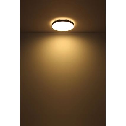 Globo - Plafón LED LED/24W/230V diá. 48 cm antracita