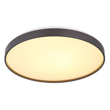 Globo - Plafón LED LED/24W/230V diá. 48 cm antracita
