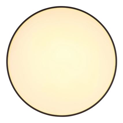 Globo - Plafón LED LED/24W/230V diá. 48 cm antracita