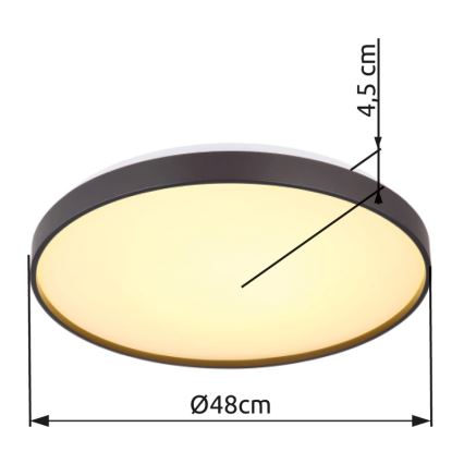 Globo - Plafón LED LED/24W/230V diá. 48 cm antracita