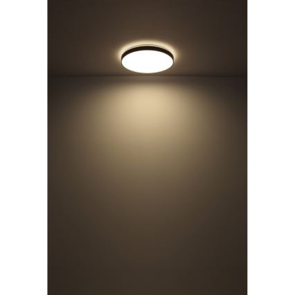Globo - Plafón LED LED/24W/230V