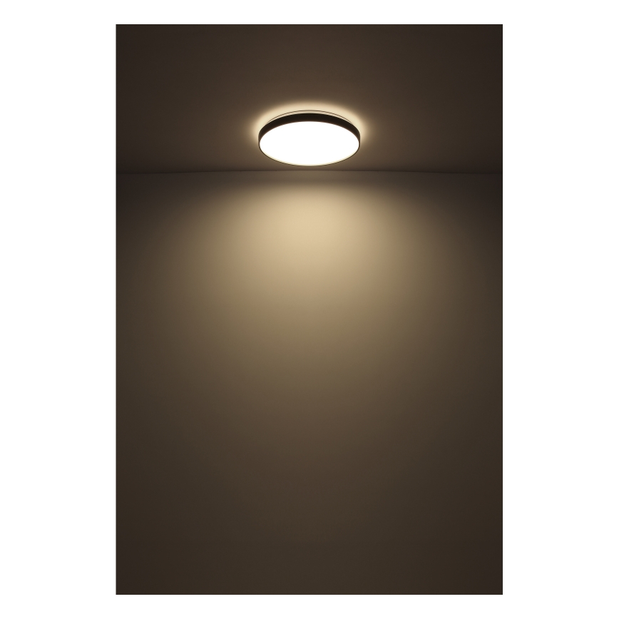 Globo - Plafón LED LED/24W/230V