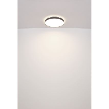 Globo - Plafón LED LED/24W/230V