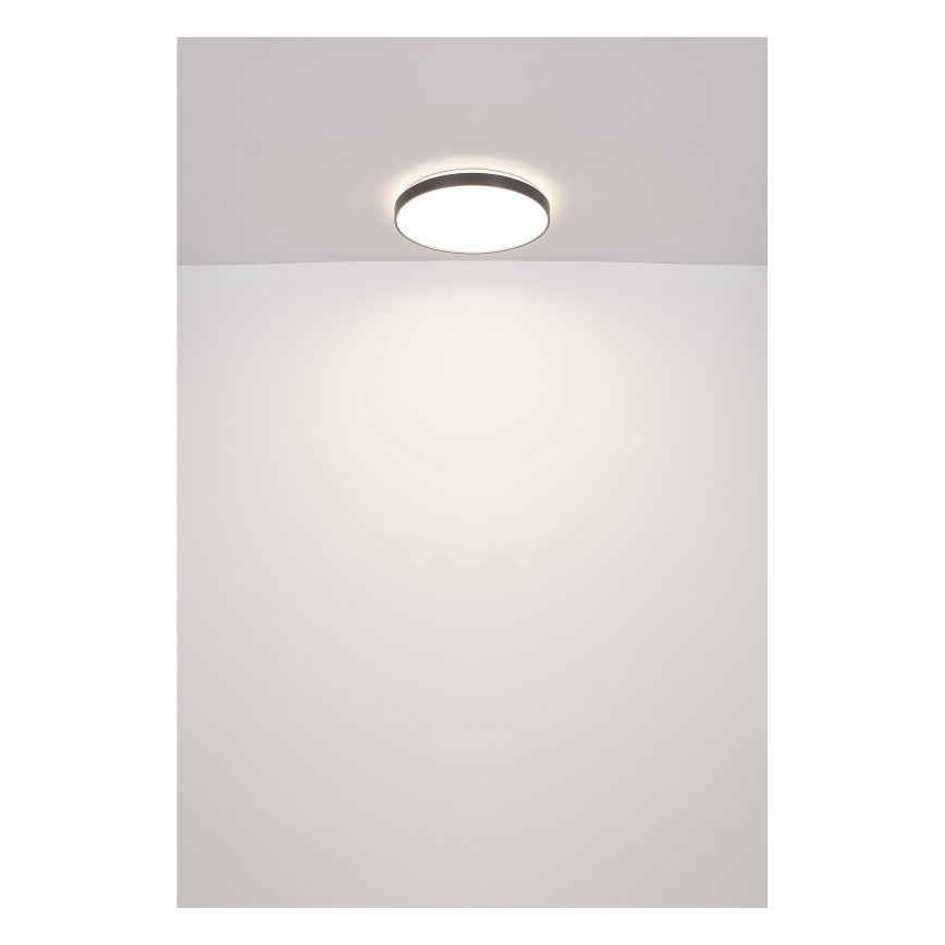 Globo - Plafón LED LED/24W/230V