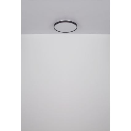 Globo - Plafón LED LED/24W/230V