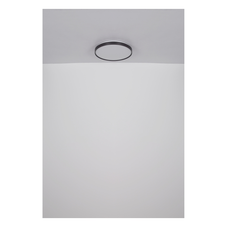 Globo - Plafón LED LED/24W/230V