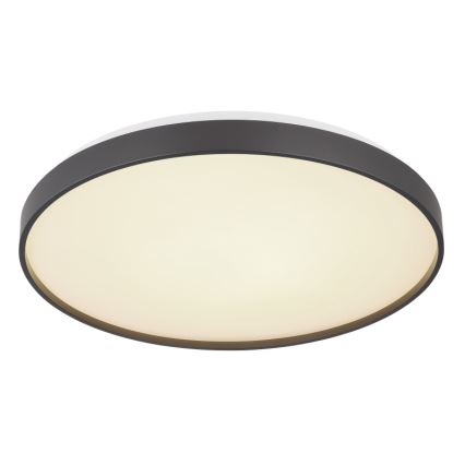 Globo - Plafón LED LED/24W/230V