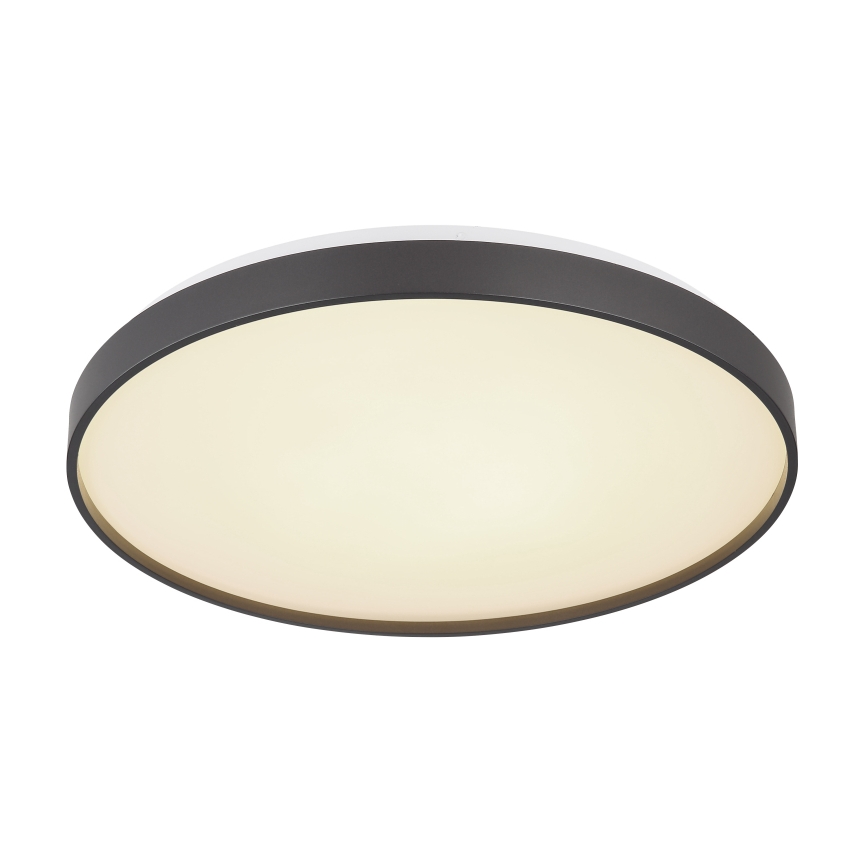 Globo - Plafón LED LED/24W/230V