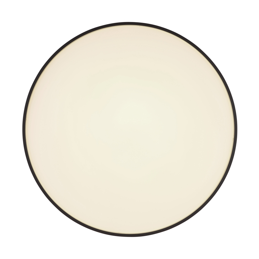 Globo - Plafón LED LED/24W/230V