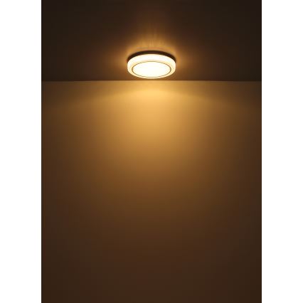 Globo - Plafón LED LED/24W/230V diá. 40 cm 3000K blanco
