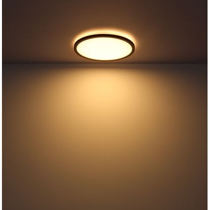 Globo - Luz de techo LED regulable para baño LED/24W/230V diá. 42 cm IP44 negro