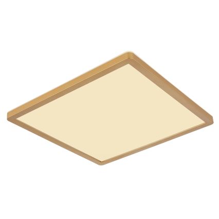 Globo - Luz de techo LED regulable para baño LED/18W/230V 3000K IP44 29,4x29,4 cm latón