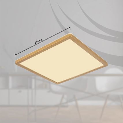 Globo - Luz de techo LED regulable para baño LED/18W/230V 3000K IP44 29,4x29,4 cm latón