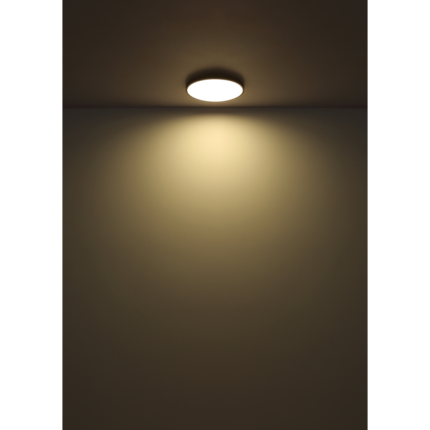 Globo - Plafón LED LED/15W/230V 4000K diá. 23 cm negro
