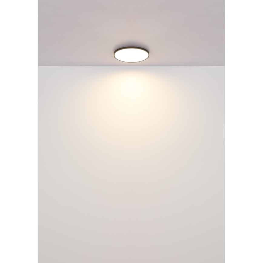 Globo - Plafón LED LED/15W/230V 4000K diá. 23 cm negro