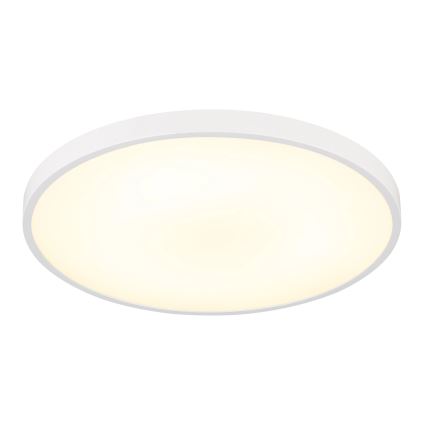 Globo - Plafón LED 15 W/230 V 4000 K Ø 23 cm blanco