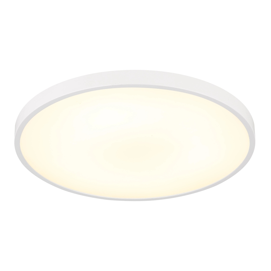 Globo - Plafón LED 15 W/230 V 4000 K Ø 23 cm blanco