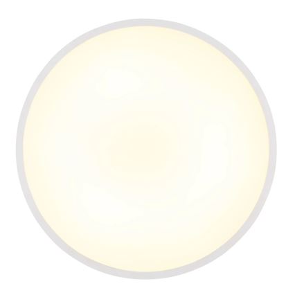 Globo - Plafón LED 15 W/230 V 4000 K Ø 23 cm blanco