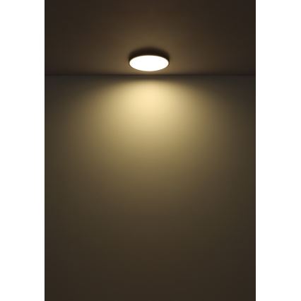 Globo - Plafón LED LED/32W/230V 4000K diá. 40 cm negro