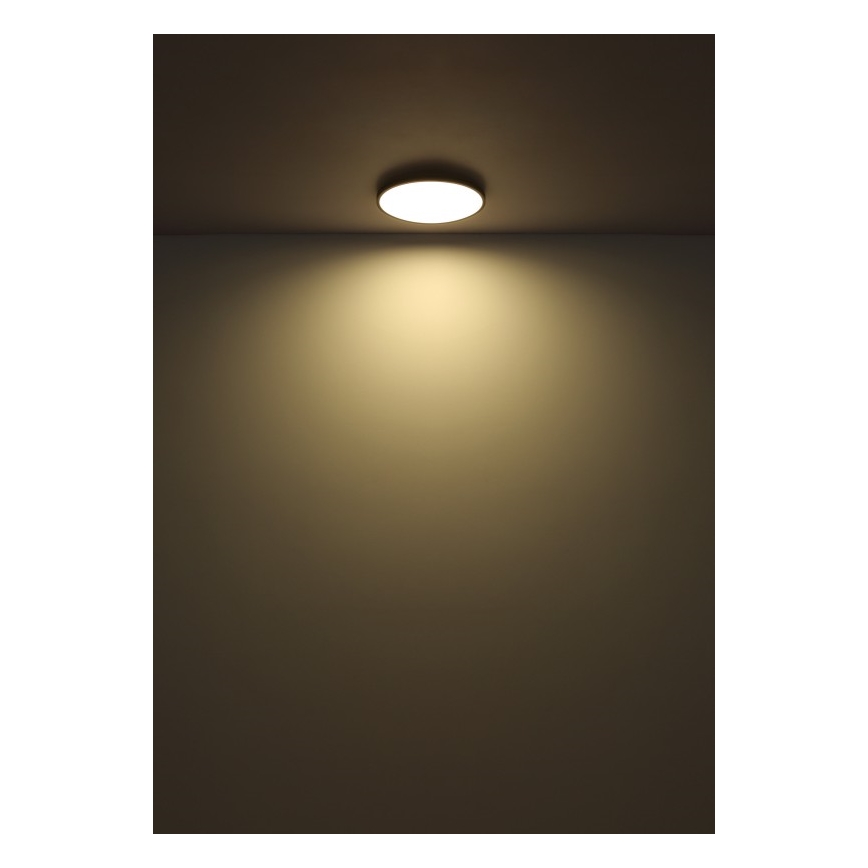 Globo - Plafón LED LED/32W/230V 4000K diá. 40 cm negro