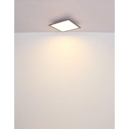 Globo - Plafón LED LED/24W/230V