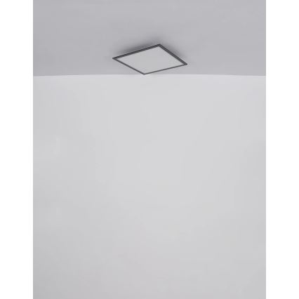 Globo - Plafón LED LED/24W/230V