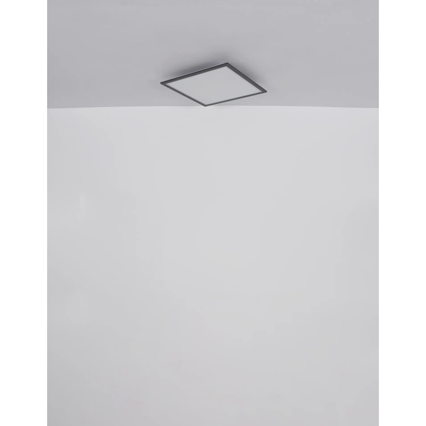 Globo - Plafón LED LED/24W/230V