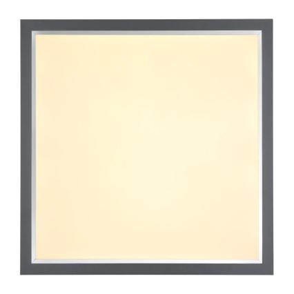 Globo - Plafón LED LED/24W/230V
