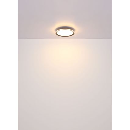 Globo - Plafón LED LED/58W/230V d. 50 cm