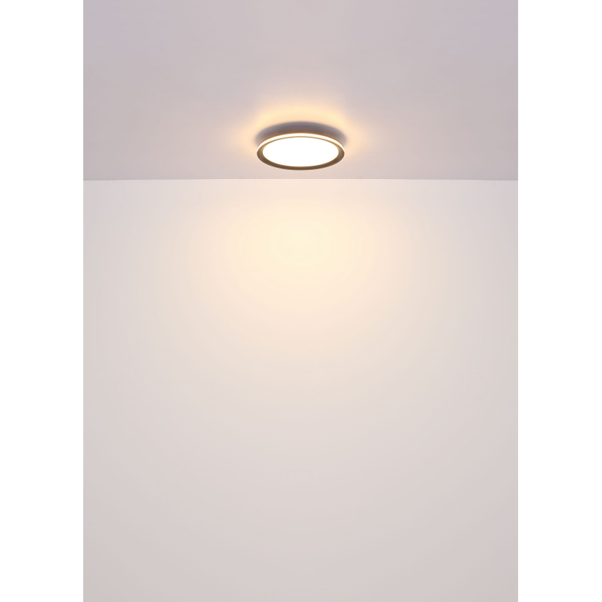 Globo - Plafón LED LED/58W/230V d. 50 cm