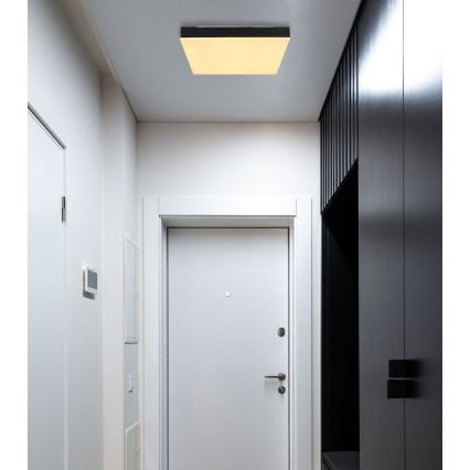 Globo - Plafón LED LED/18W/230V 30x30 cm negro