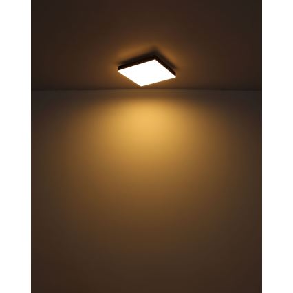 Globo - Plafón LED LED/18W/230V 30x30 cm negro