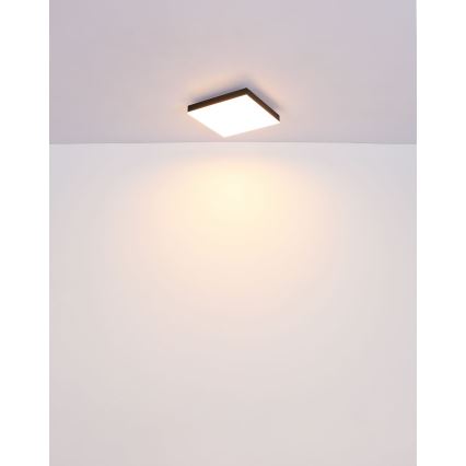 Globo - Plafón LED LED/18W/230V 30x30 cm negro