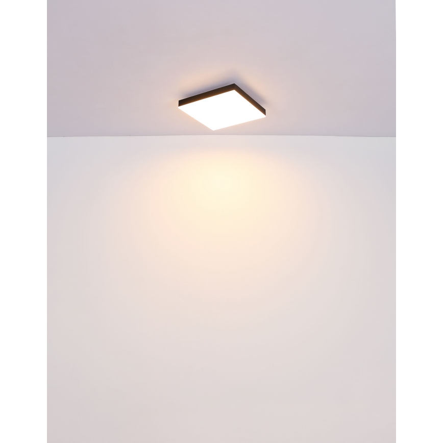 Globo - Plafón LED LED/18W/230V 30x30 cm negro