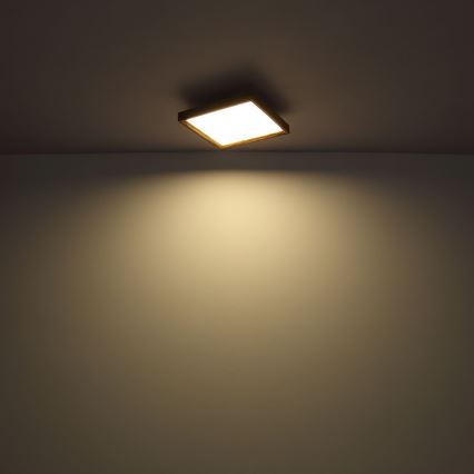 Globo - Plafón LED LED/12W/230V 2700/4500/6500K 30x30 cm