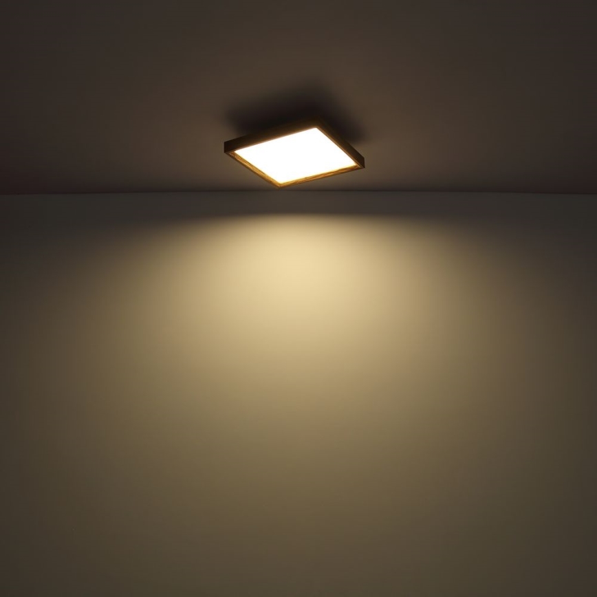 Globo - Lámpara de techo LED LED/24W/230V 45cm 2700/4500/6500K