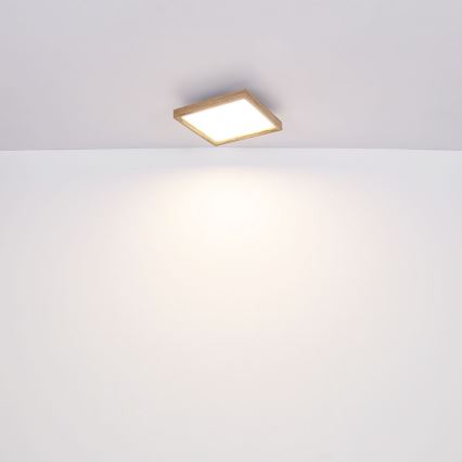 Globo - Lámpara de techo LED LED/24W/230V 45cm 2700/4500/6500K