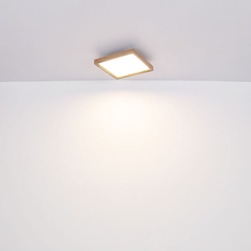 Globo - Lámpara de techo LED LED/24W/230V 45cm 2700/4500/6500K