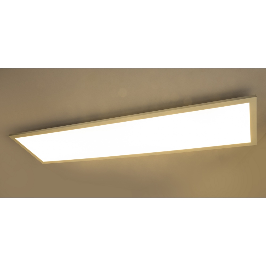 Globo - Panel colgante LED ROSI LED/40W/230V