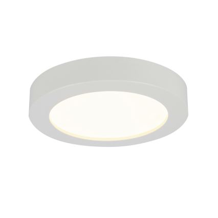 GLOBO 41605-18 - LED Plafón para el baño PAULA 1xLED/18W/230V IP44