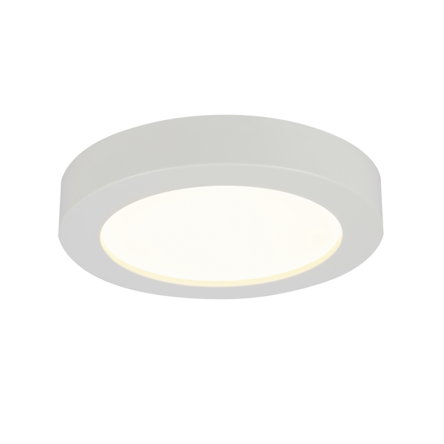 GLOBO 41605-18 - LED Plafón para el baño PAULA 1xLED/18W/230V IP44