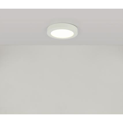 GLOBO 41605-18 - LED Plafón para el baño PAULA 1xLED/18W/230V IP44