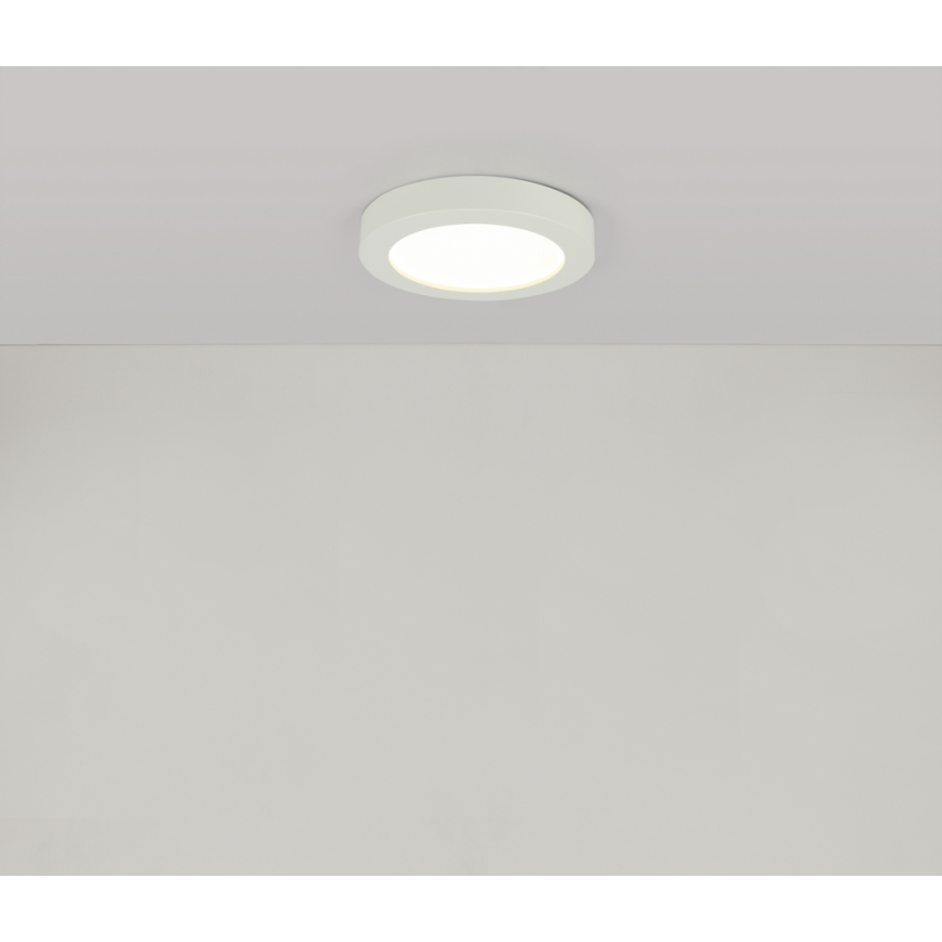 GLOBO 41605-18 - LED Plafón para el baño PAULA 1xLED/18W/230V IP44